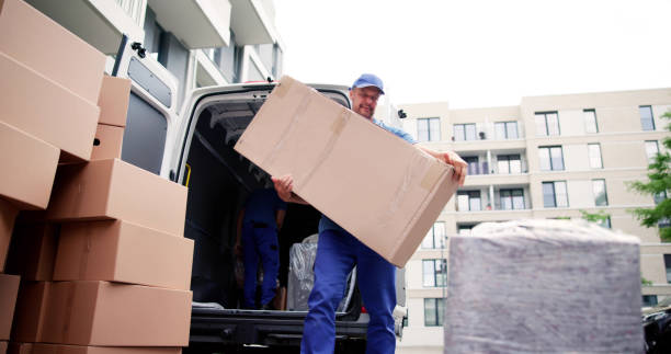 Professional house movers Abu Dhabi carrying a large cardboard box for an apartment relocation.