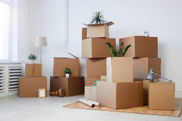 Stacked cardboard moving boxes filled with household items and potted plants in a studio apartment.